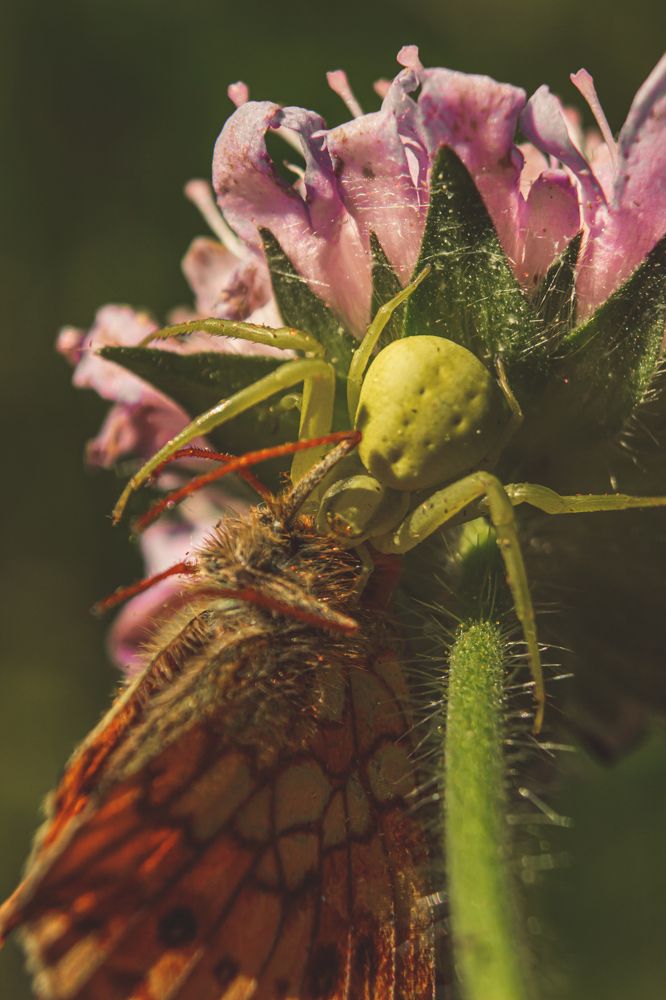 Photograph by Дмитрий Тимофеев