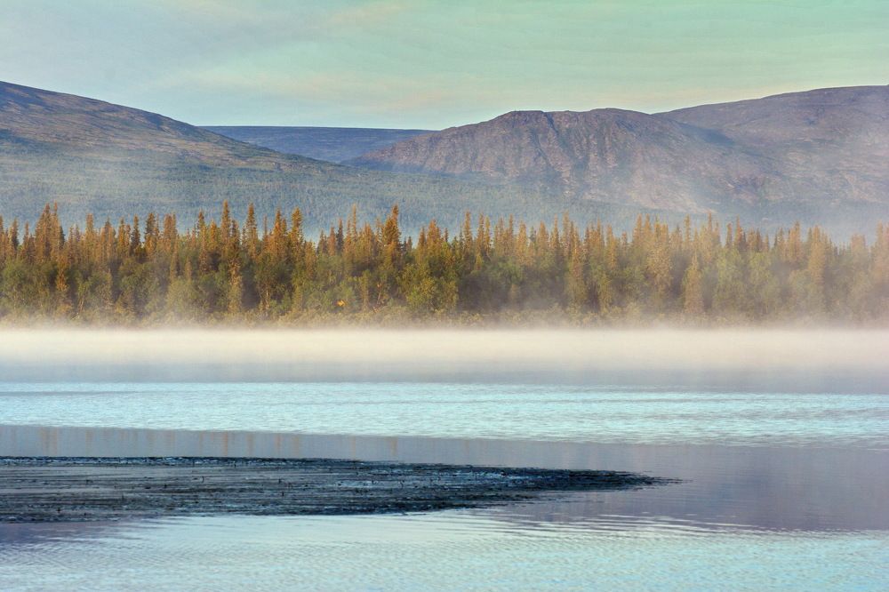 Photograph by Алексей Куренков