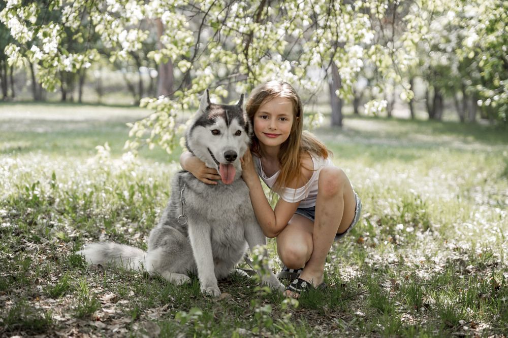 С любимым питомцем