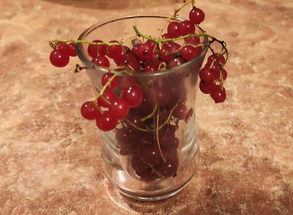 Photograph by Галина