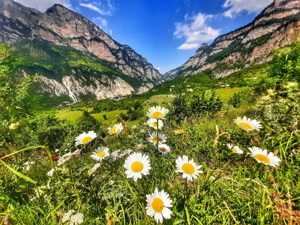 Остановись, мгновение.....ты прекрасно