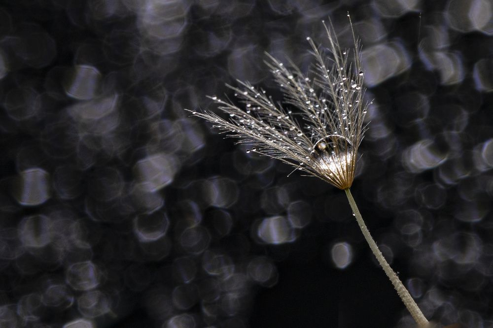 Photograph by Rahel Barenshtein