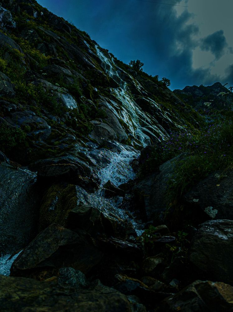 Photograph by 
