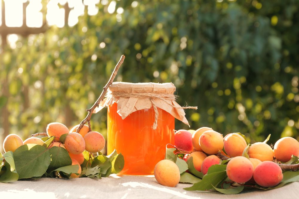 Photograph by Елена Неведицына