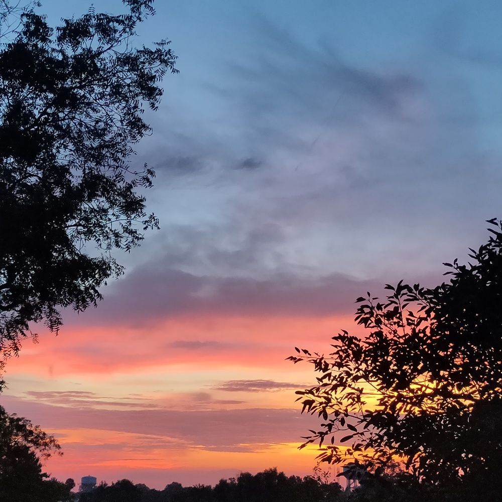 Photograph by Kumari Shikha