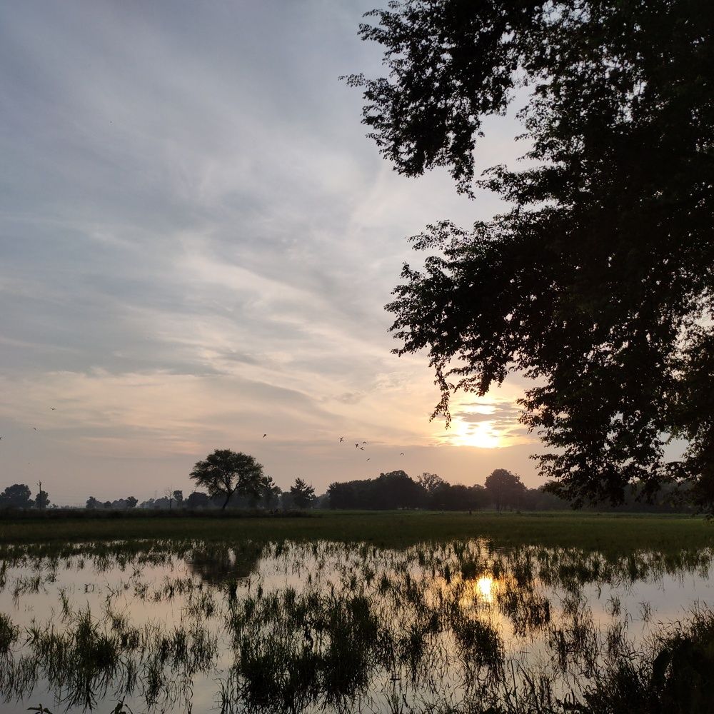 Photograph by Kumari Shikha