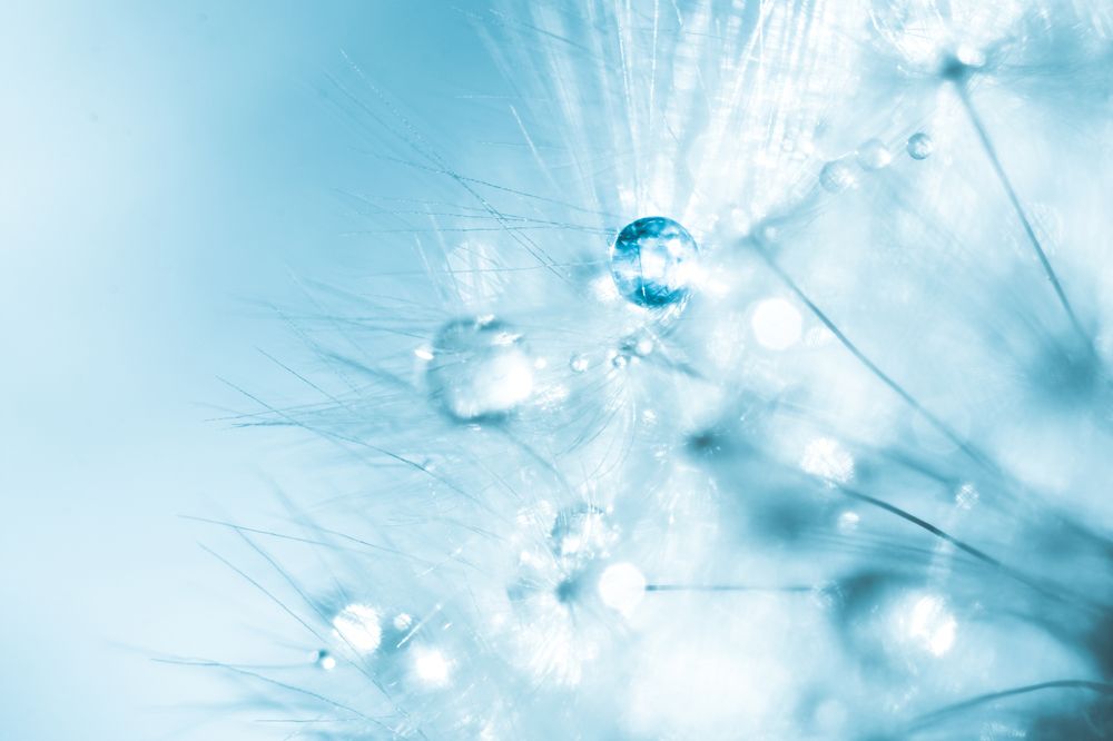 Photograph by Theo Crazzolara