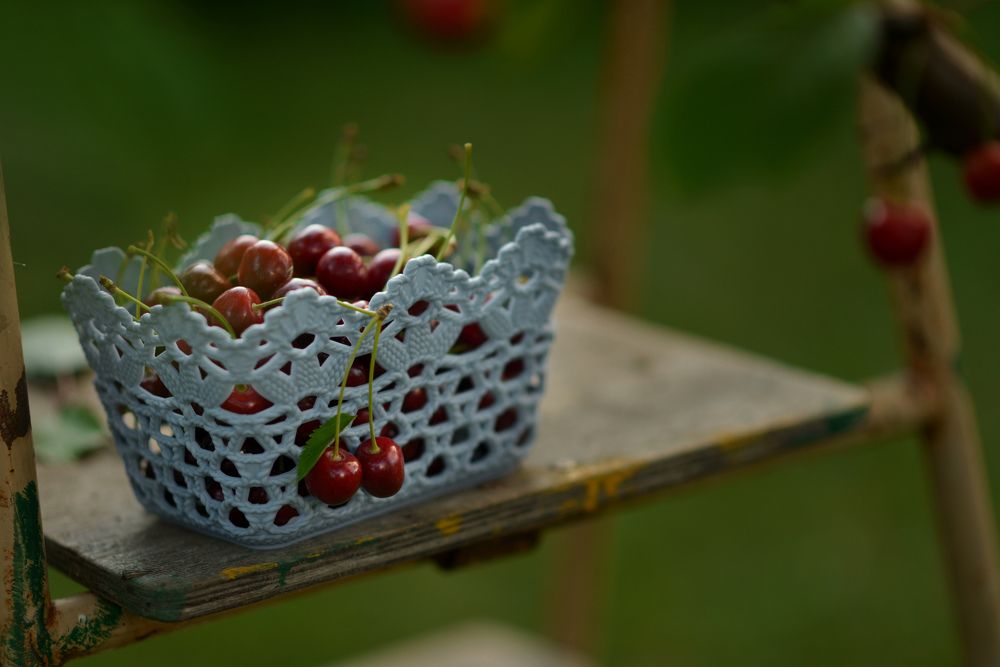 Photograph by Олеся Парфенова