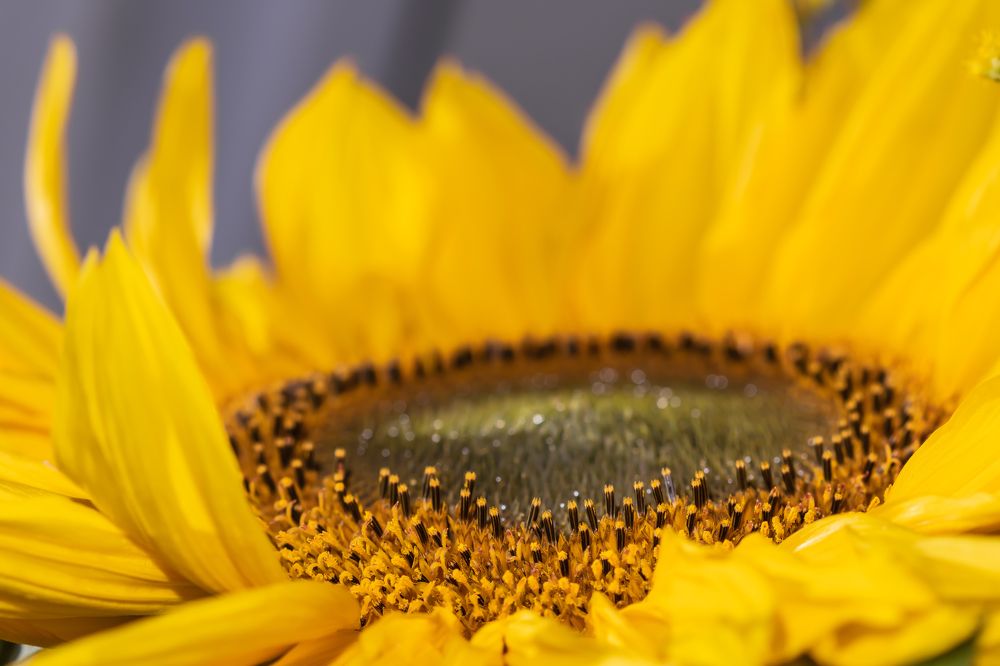 Photograph by Aleksei Kazakov