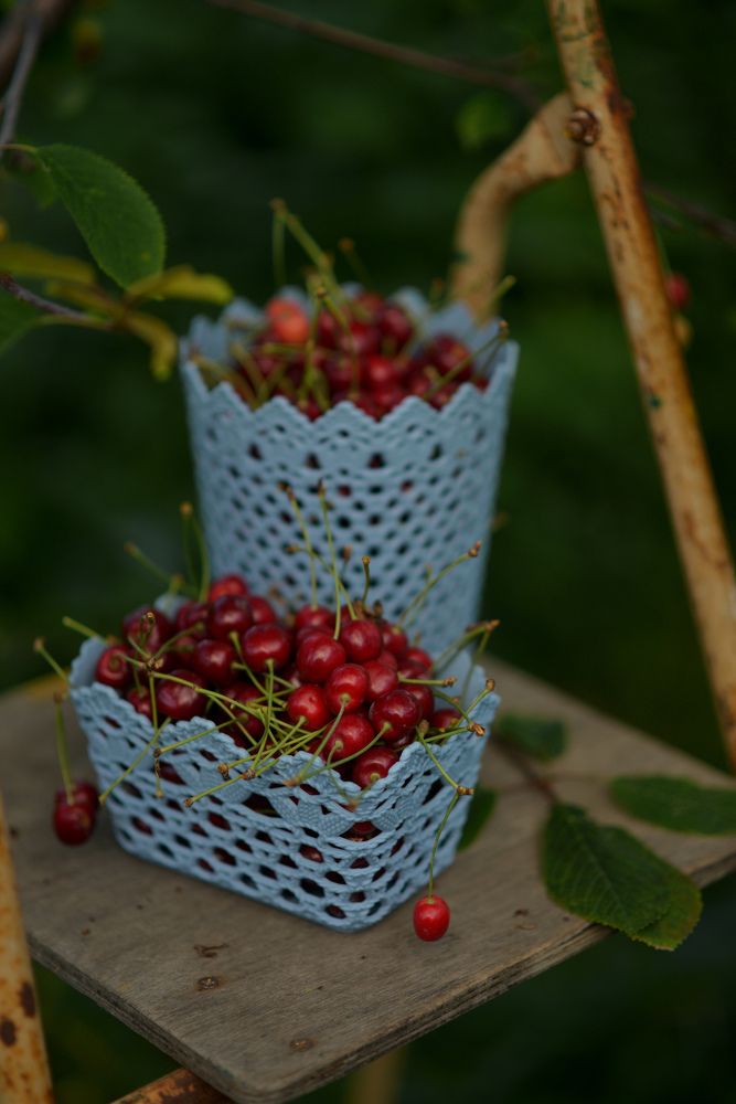 Photograph by Олеся Парфенова