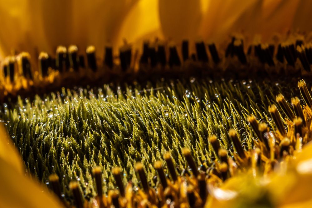 Photograph by Aleksei Kazakov