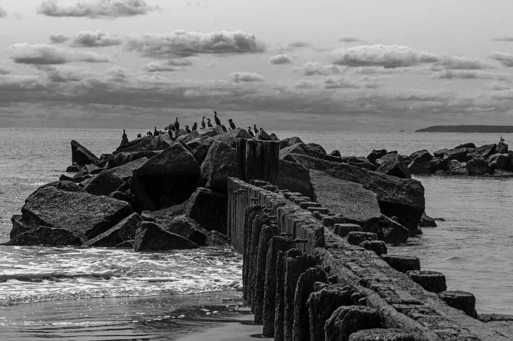 Photograph by Joaquin Silva