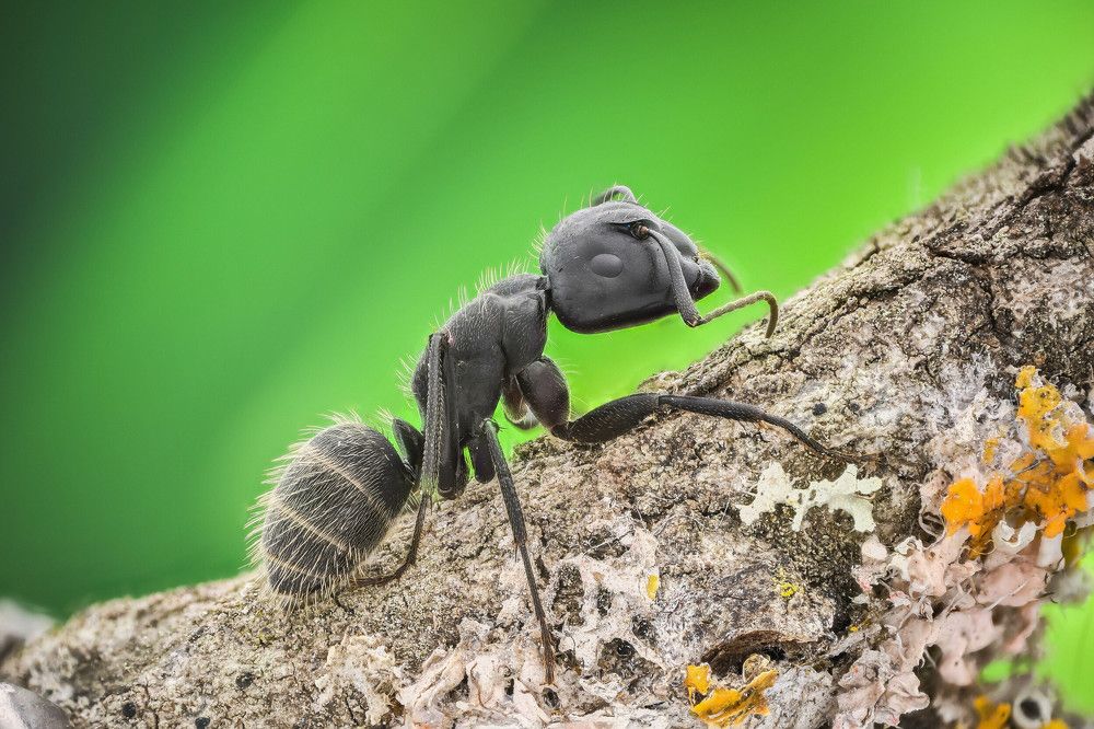 Photograph by Aleksandur Vasilev