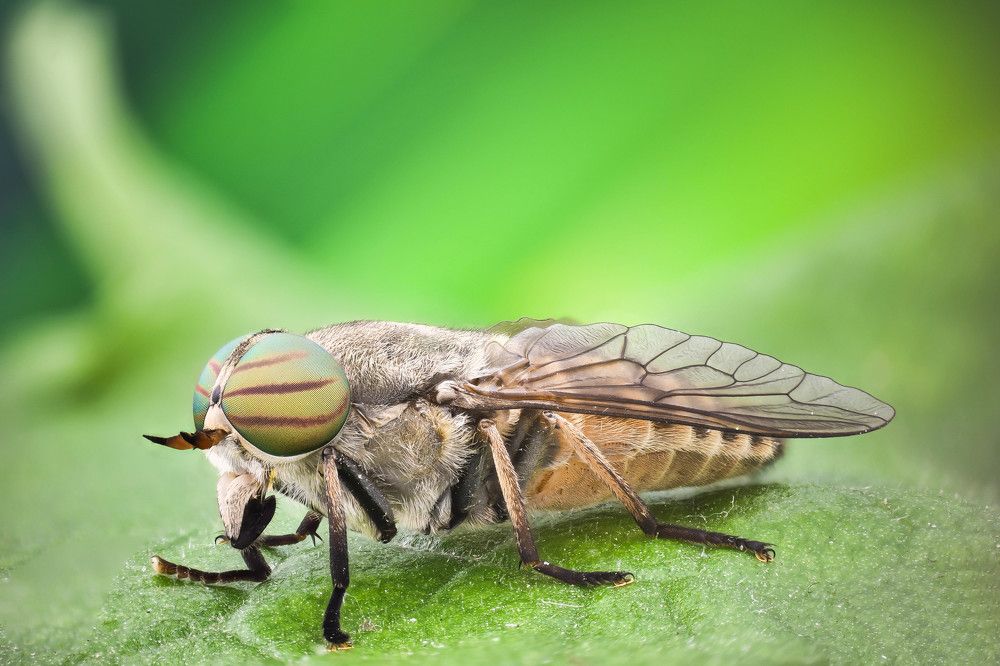 Photograph by Aleksandur Vasilev