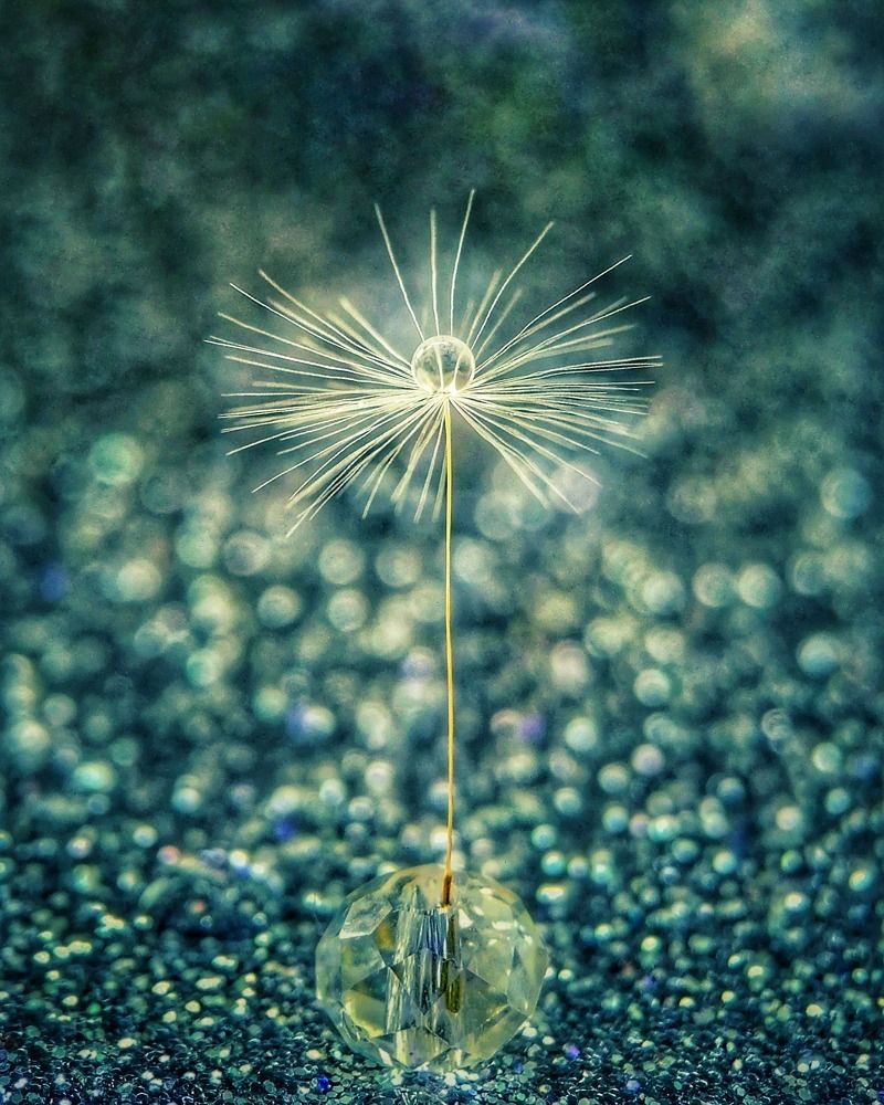 Фотография автора Fotolove Tasha