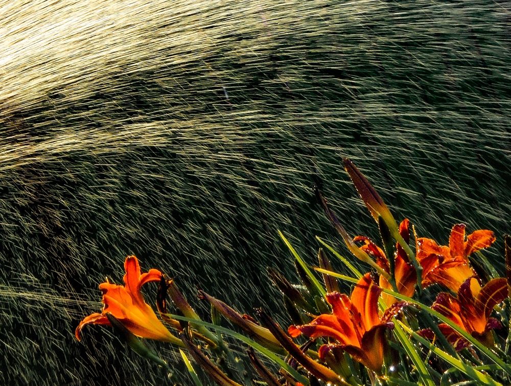 Photograph by Евгений Королев