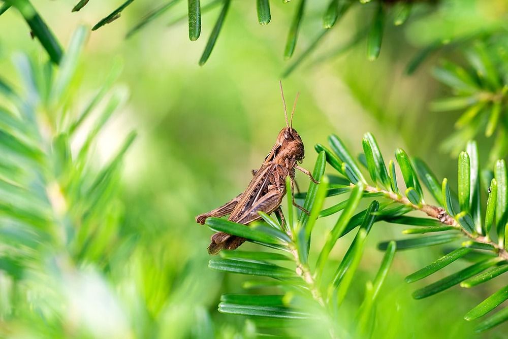 Photograph by Светлана Михайлова