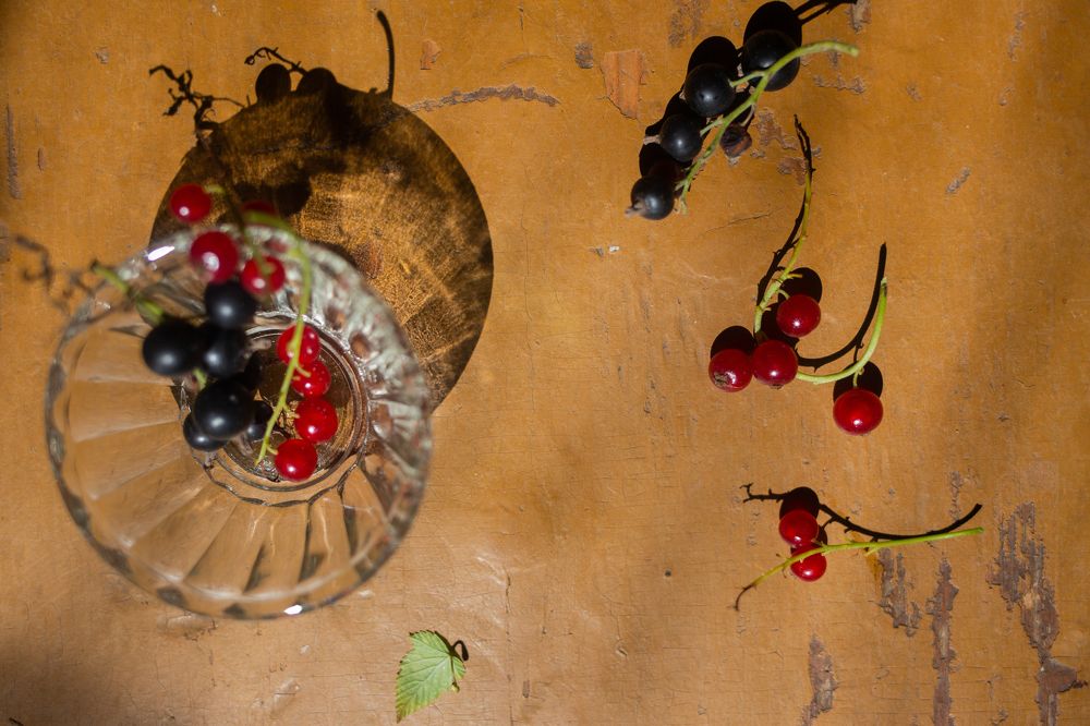 Photograph by Olga Vinogradova