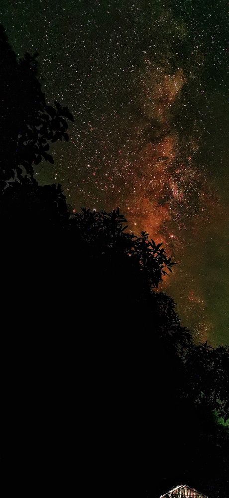 Photograph by Sadman Sakib