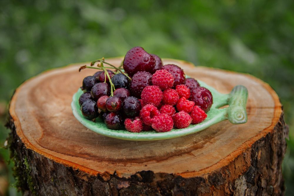 Photograph by Ольга Суторман