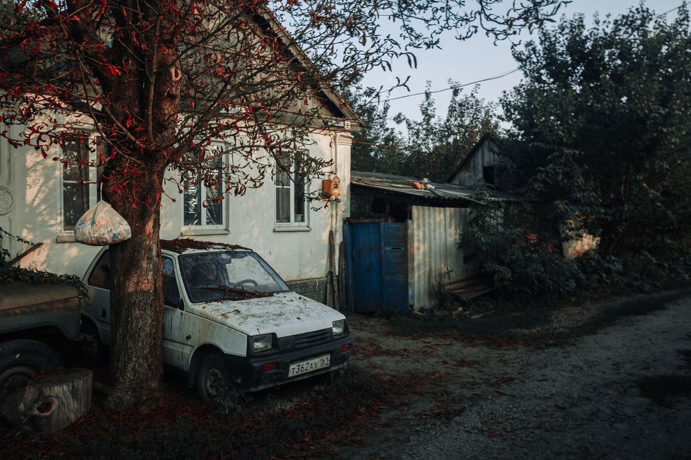 Photograph by Дмитрий Недодаев