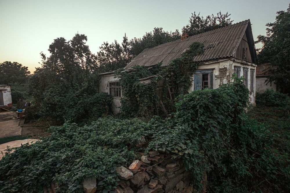 Photograph by Дмитрий Недодаев