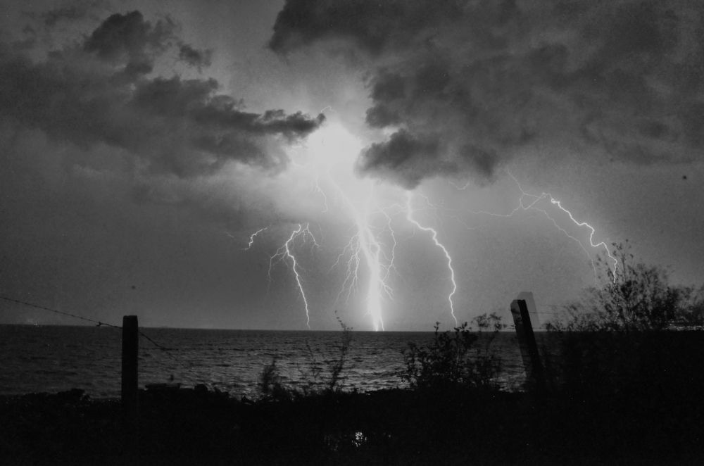 Photograph by Daria Makaidenko