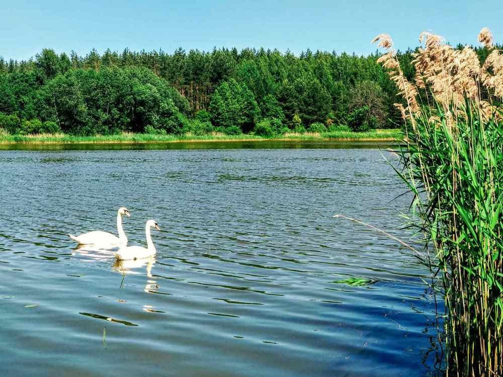 Photograph by Alesya Beresneva