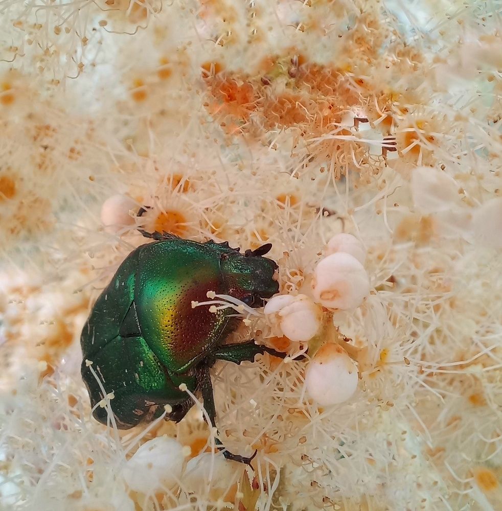 Photograph by Гульжан Шарипова