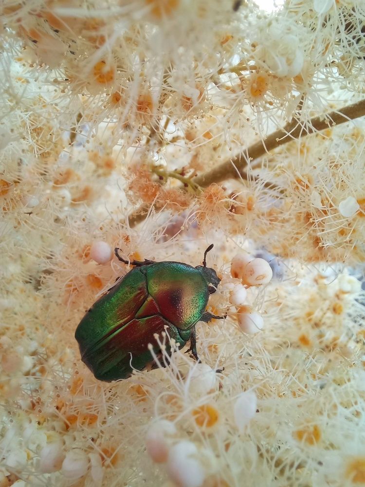 Photograph by Гульжан Шарипова