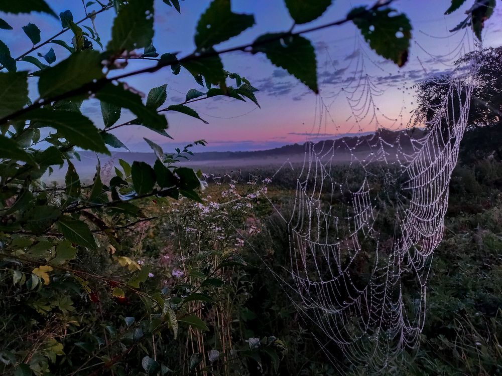 Photograph by Александр Лукин