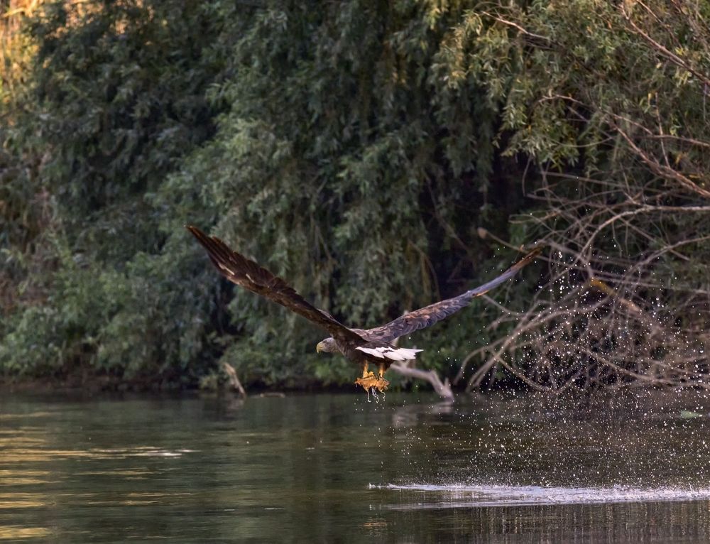 Photograph by Анатолий Салтыков