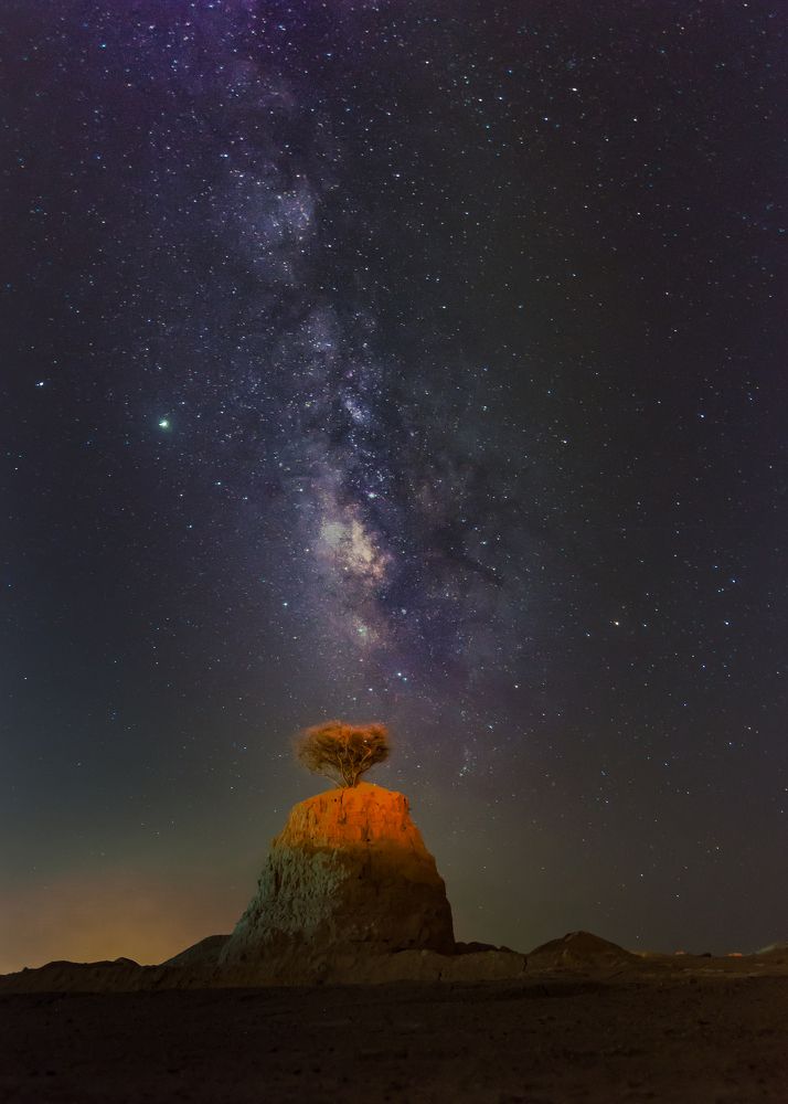 Photograph by Manjri Saxena