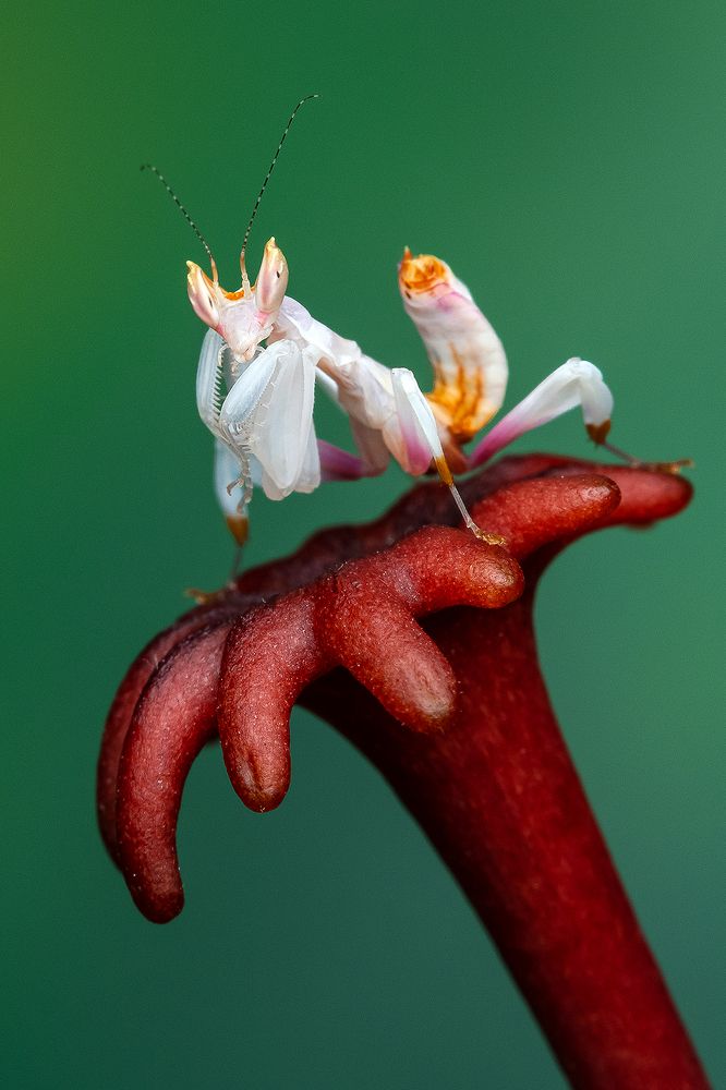 Photograph by Marcus Kam