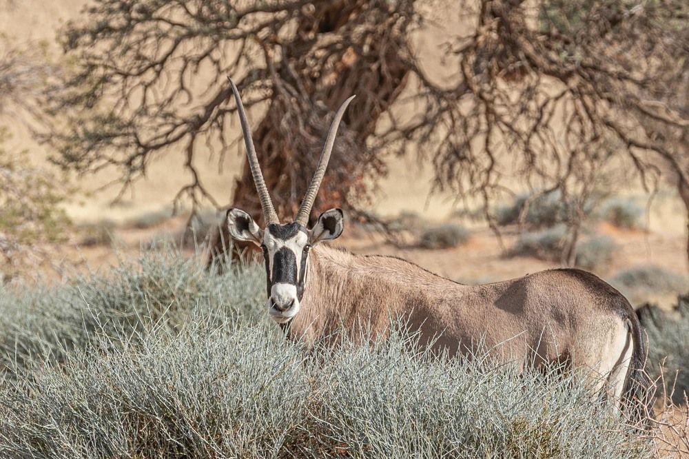 Photograph by Илья Поляк