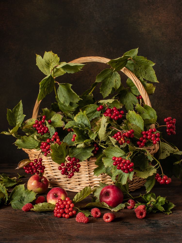 Фотография автора Мария Сурмачева