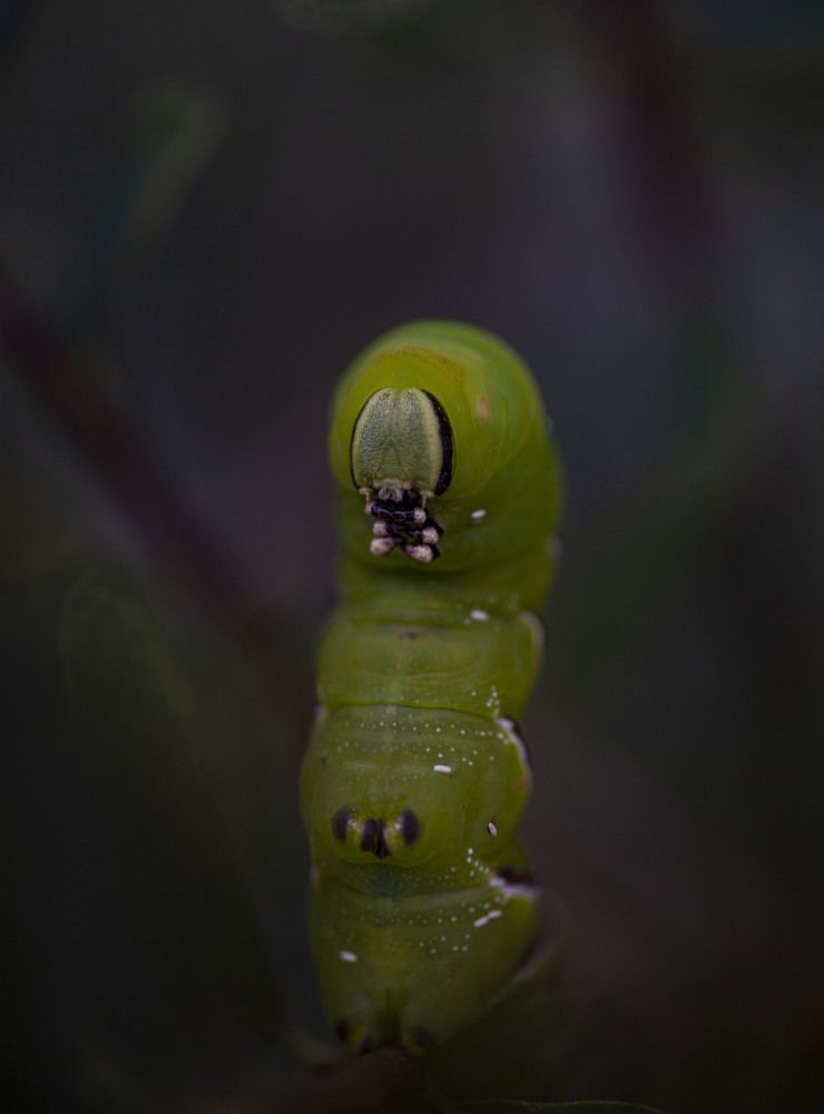 Photograph by Ксения Никифорова