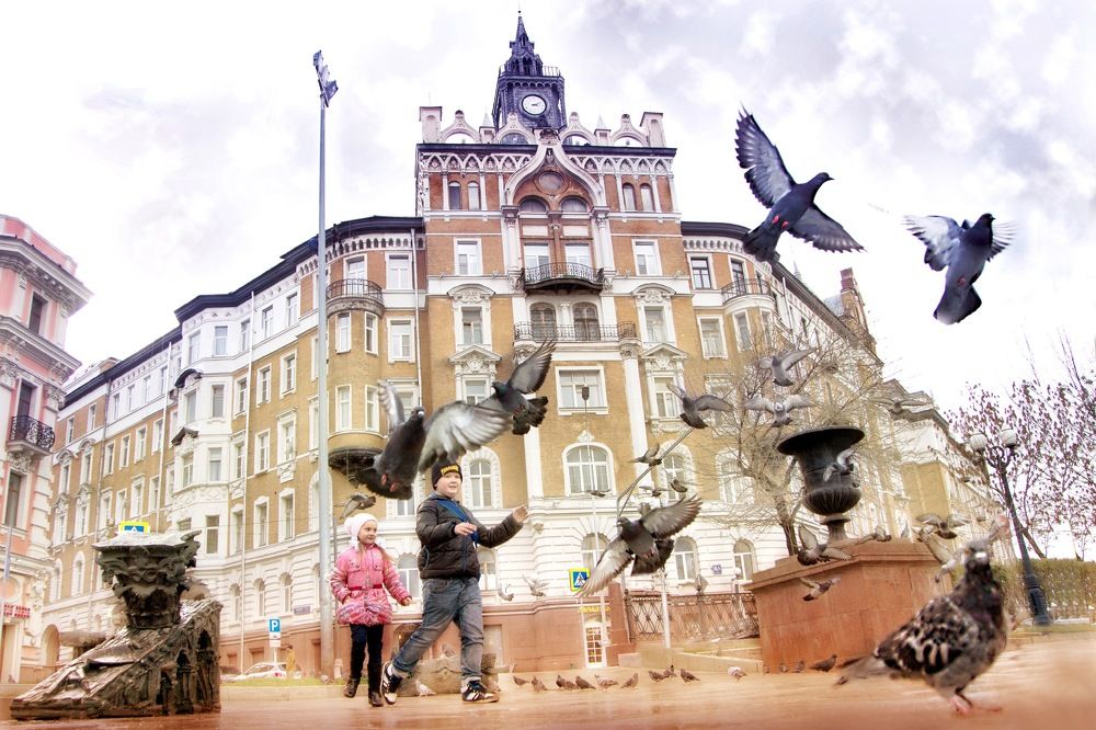 Любовь и голуби