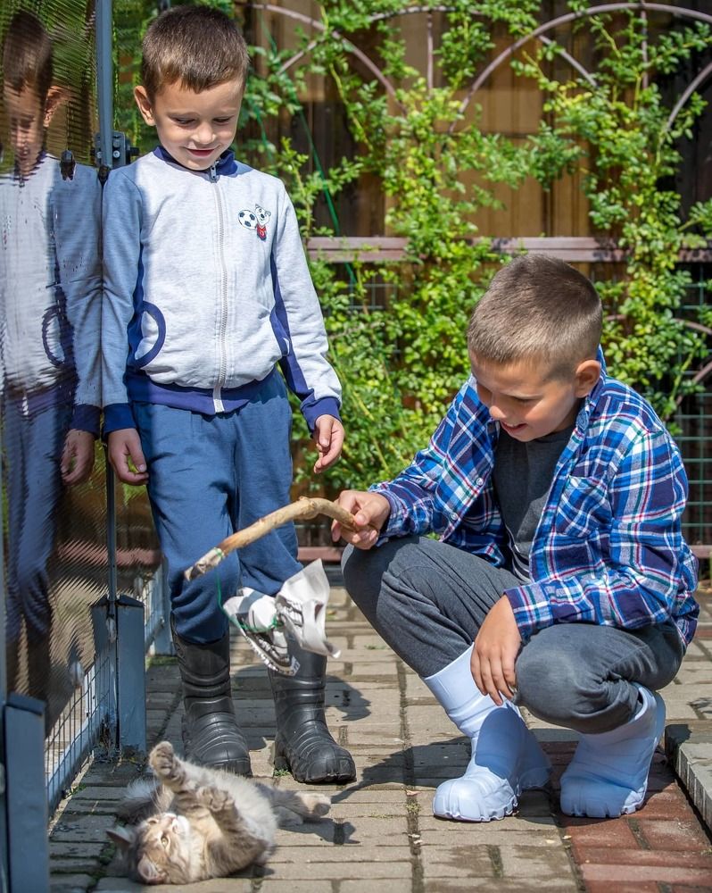 Photograph by Евгения Бочарова