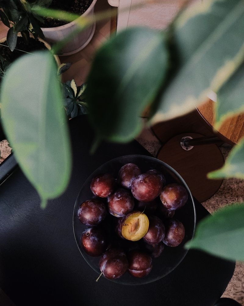 Фотогеничные сливы