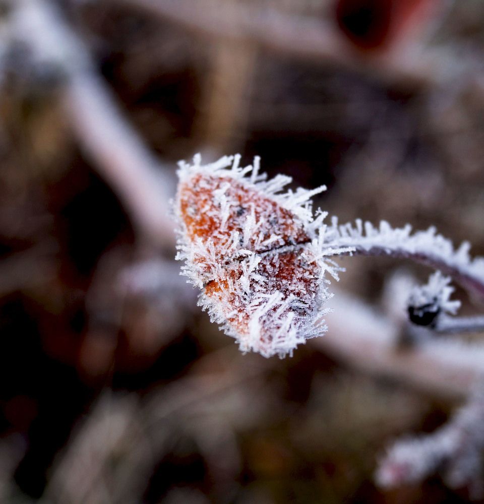 Photograph by Vlad Proshin