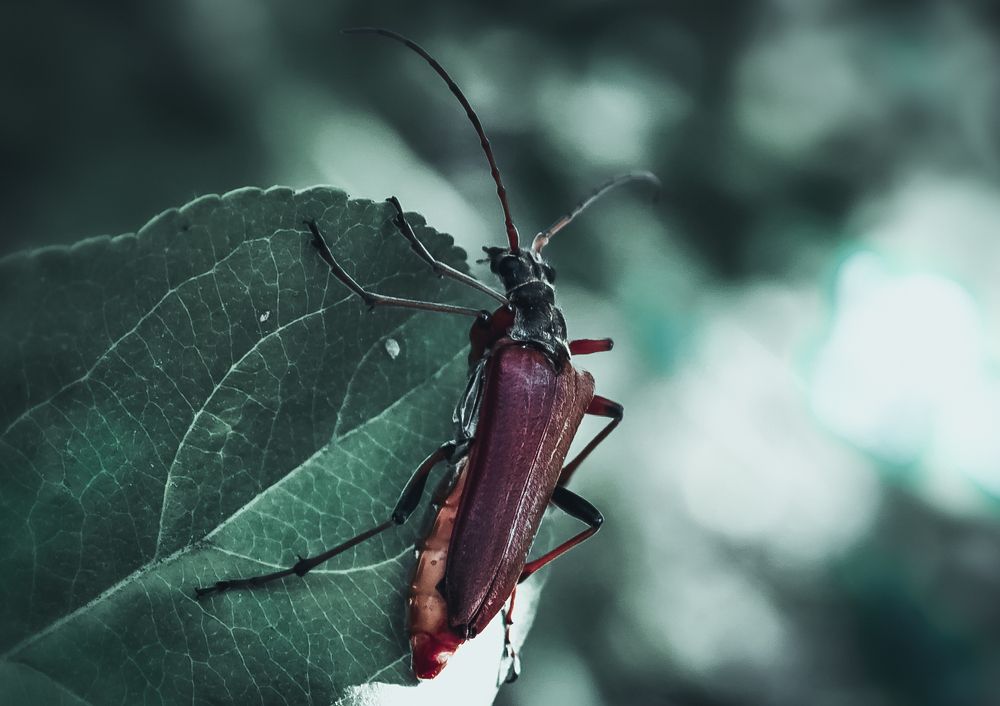 Photograph by Дмитрий Фадеев