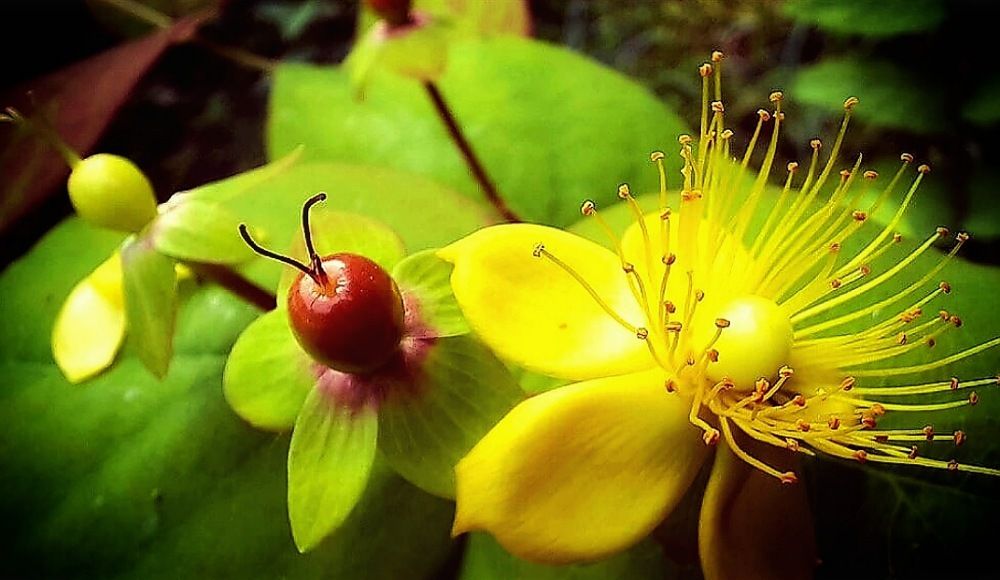 Photograph by mahyar soleimany