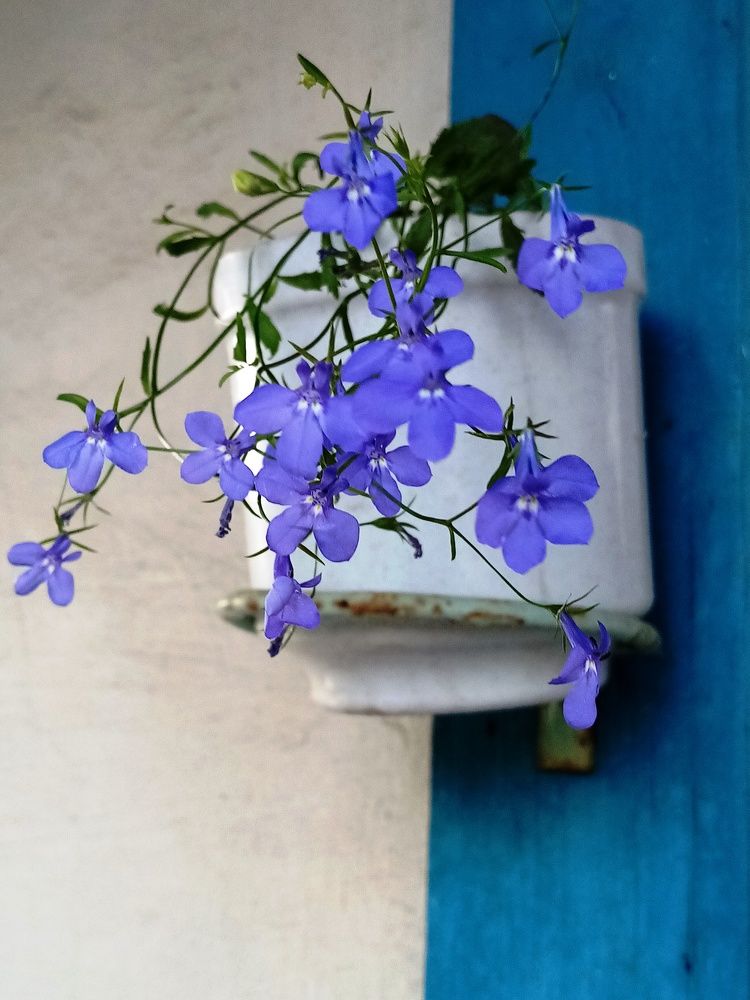 Photograph by Венера Галимова