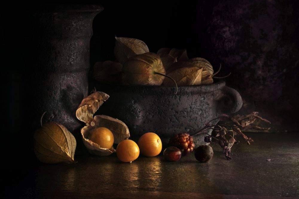 Photograph by Eduardo Modolo