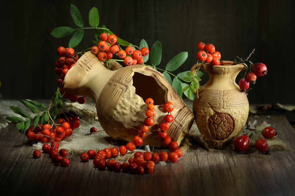 Photograph by Шруб (Беляева) Татьяна