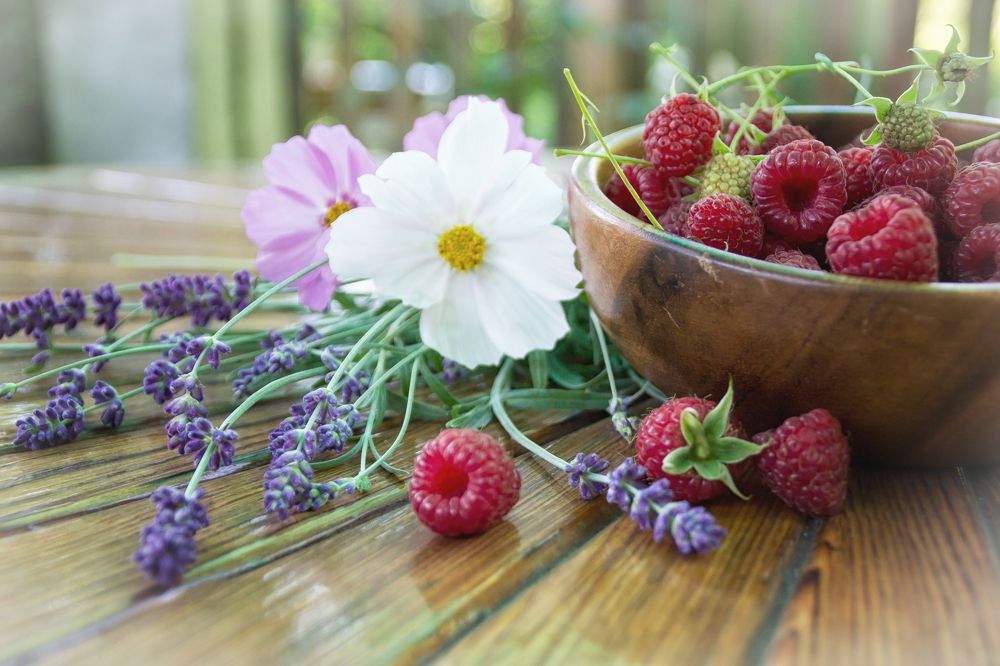 Фотография автора Юлия Кранина