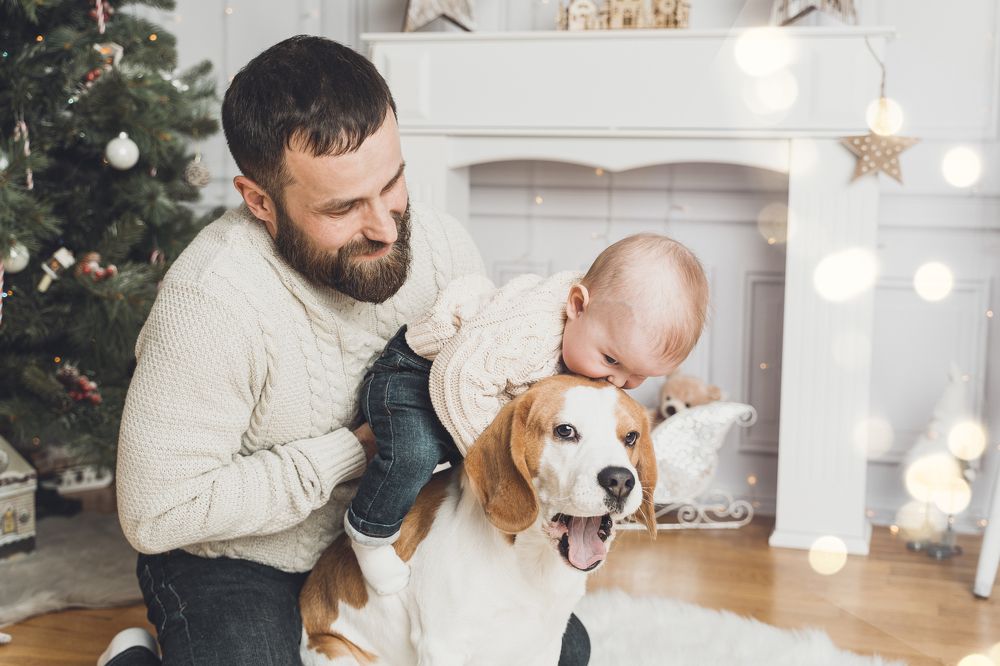 Фотография автора Антонина Северова