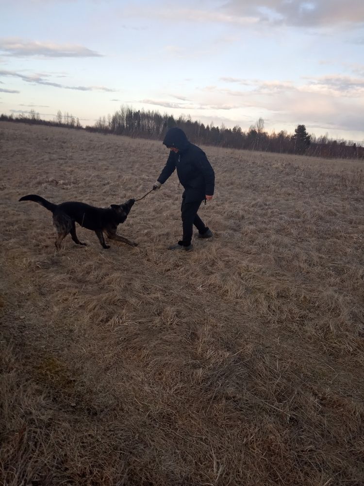 Photograph by Любовь Шаврина