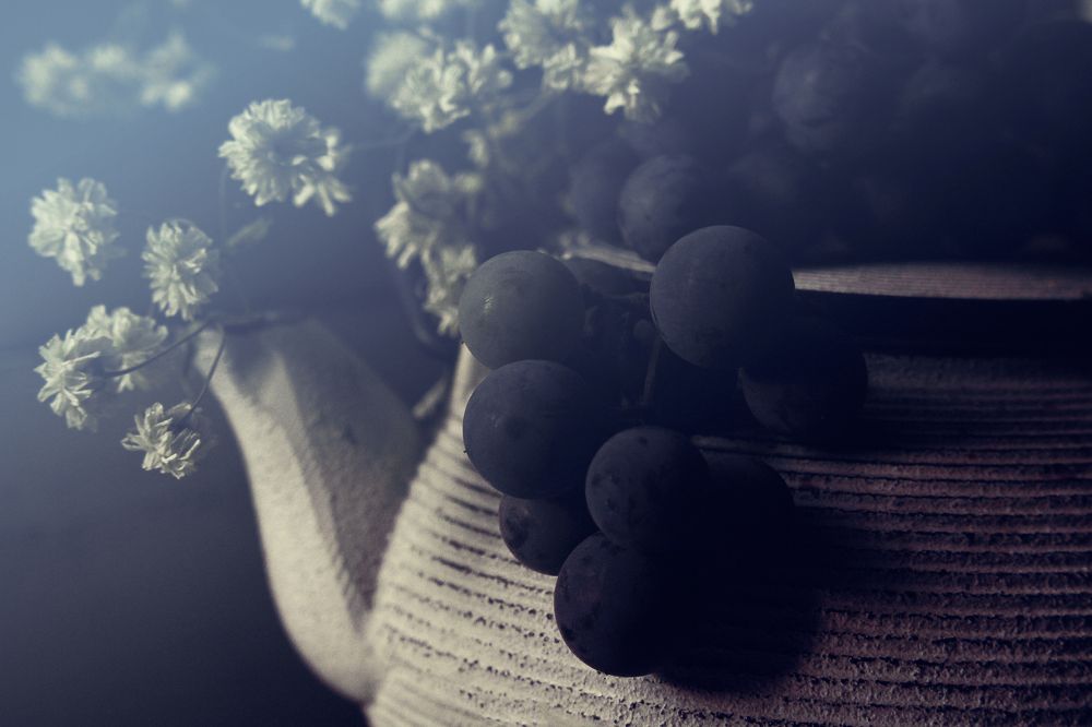 Photograph by Marina Sochirca